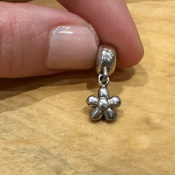 Pandora-fitted charms - Picture 4 of 4